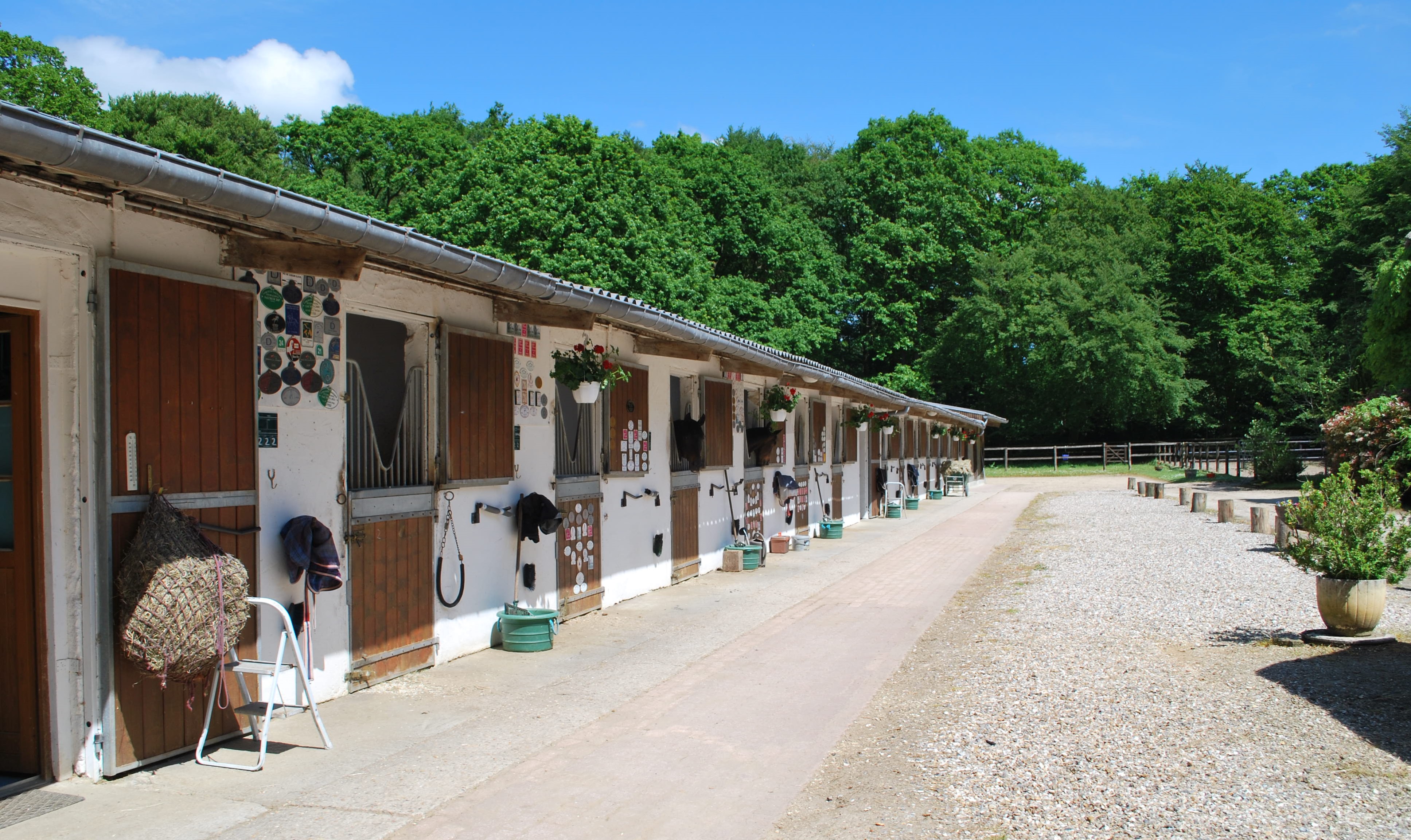 presentation de l'ecurie