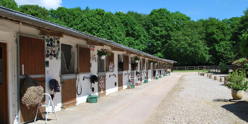PENSION